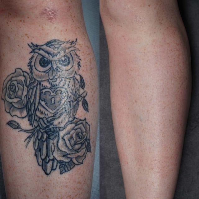2024 9 3_Off%20you%20hoot