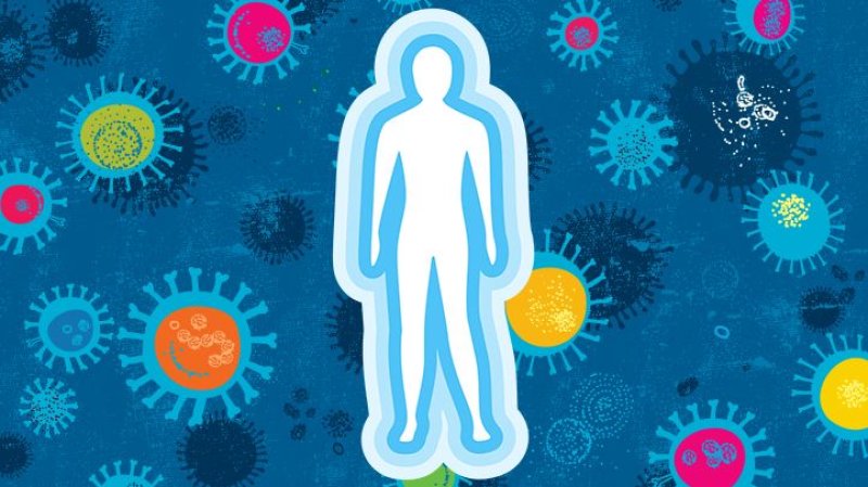 can you-boost-your-immune-system-to-prevent-coronavirus-spread-x--pe53uo2f5sc9u024617u33o6ztmvk7fjlz92peyzd6